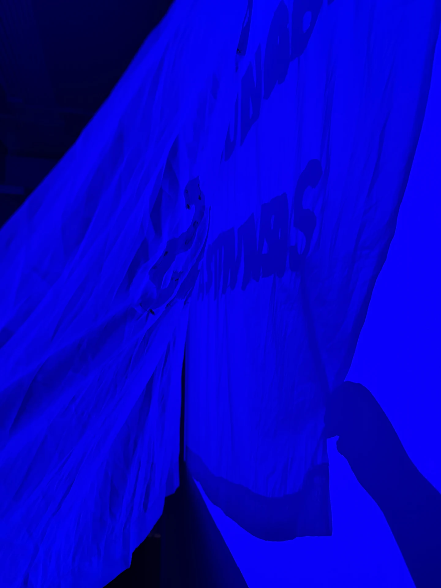 A viewer interrupts the blue projection, casting a shadow across the sheer textile.