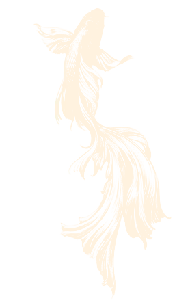 Yin & Yang: original artwork from the project.